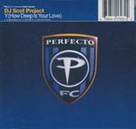 DJ Scot Project - Y (How deep is your love)