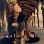 Badu, Erykah - Apple Tree CD 1