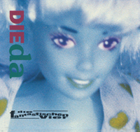 Fantastischen Vier - Die da!?!