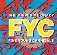 Fine Young Cannibals - She drives me crazy