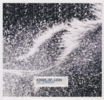 Kings of Leon - Use somebody