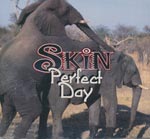 Skin - Perfect day